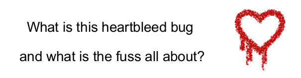 What is this heartbleed bug and what is the fuss all about?